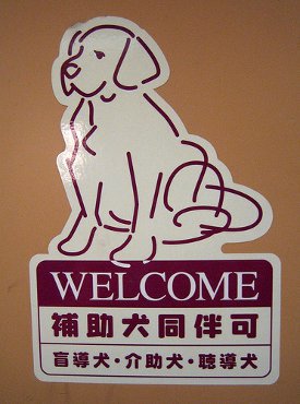 Dog friendly hotel chains