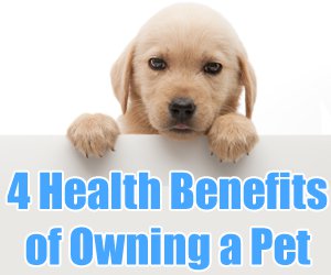 benefits having pets