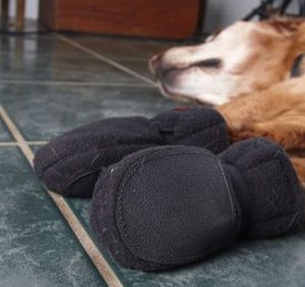 no-slip indoor dog boots