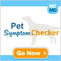 Pet symptom checker
