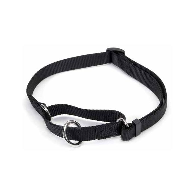 Nylon Training Collar 81