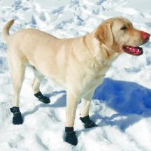 Dog Boots For Snow