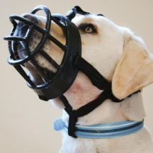 Dog Muzzles For Chewing
