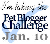 Pet Blogger Challenge 2013