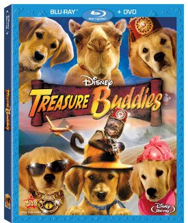 Treasure Buddies DVD