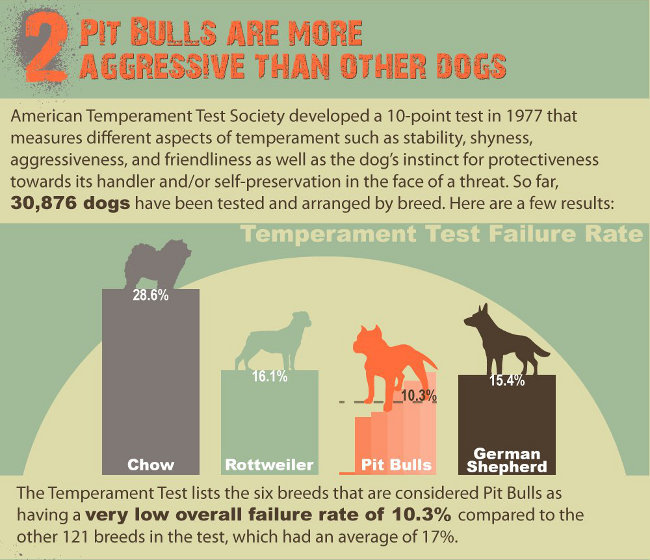 infographic panel 3