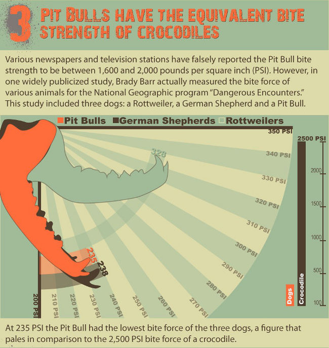 infographic panel 4