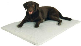 Cooling beds for dogs