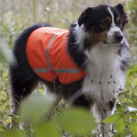 Dog reflective vest