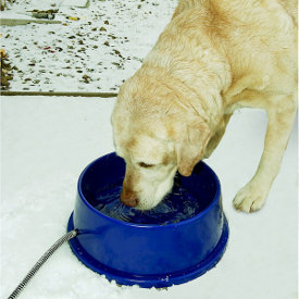 Heated water bowl