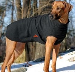 large dog coats for winter