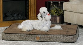 Orthopedic dog beds for large dogs