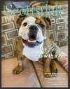 Paw Posse in North Scottsdale Lifestyle Magazine