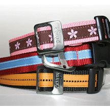 Kurgo Wander Collars