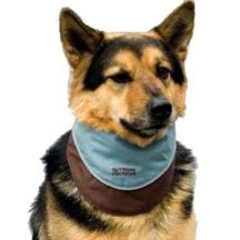 Cooling Dog Bandana