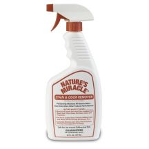 Best Carpet Cleaner For Pet Stains