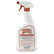 Best Carpet Cleaner For Pet Stains Best Carpet Cleaner For Pet Stains