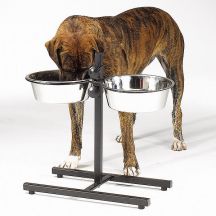 Raised Dog Bowls For Large Dogs