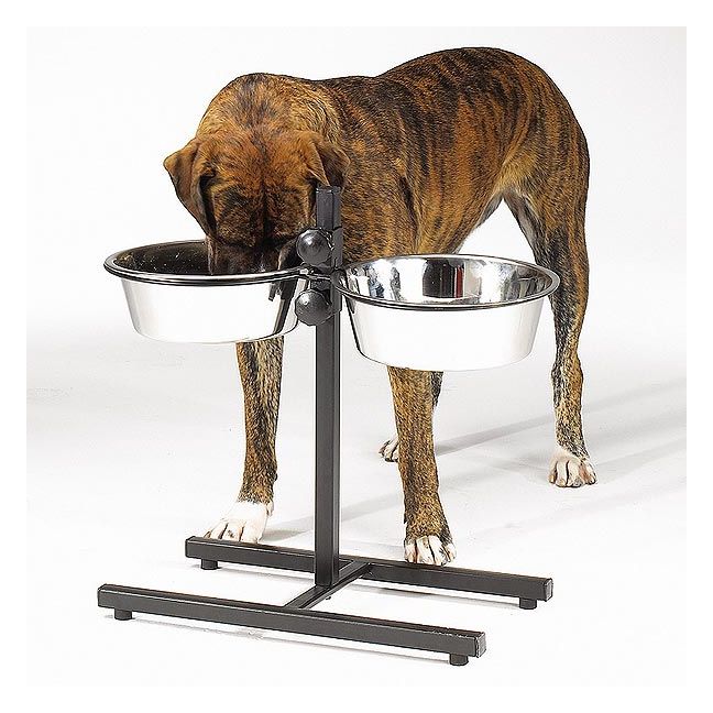 Elevated Dog Bowls for Large or Extra Large Dog. Great Dane, Saint