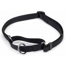 Nylon Dog Training Collar