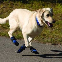 Summer Dog Boots For Hot Pavement