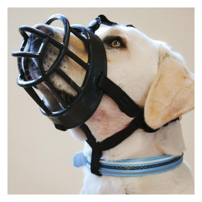 dog muzzle for chewing
