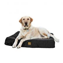 Orthopedic Dog Beds For Large Dogs