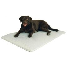 Cooling Beds For Dogs