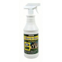 Dog Urine Grass Repair