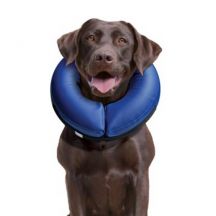 Inflatable Dog Collar