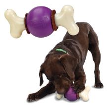 Triple Threat Bouncy Bone