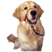 Gentle Leader For Dogs Gentle Leader For Dogs