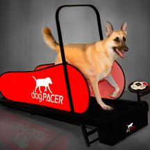 Dog Treadmills