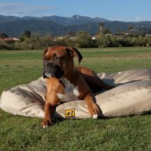 Chew Resistant Dog Beds Chew Resistant Dog Beds