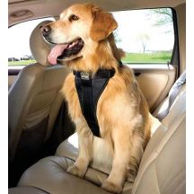 Large Dog Car Harness