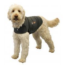 Dog Clothing