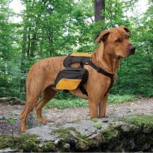 Canine Back Packs