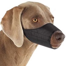 Dog Muzzles