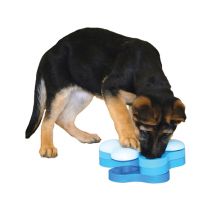 Fun Dog Toys