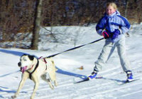 Skijoring